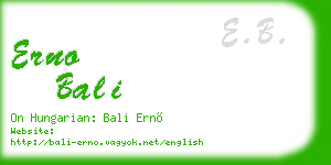 erno bali business card