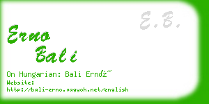 erno bali business card